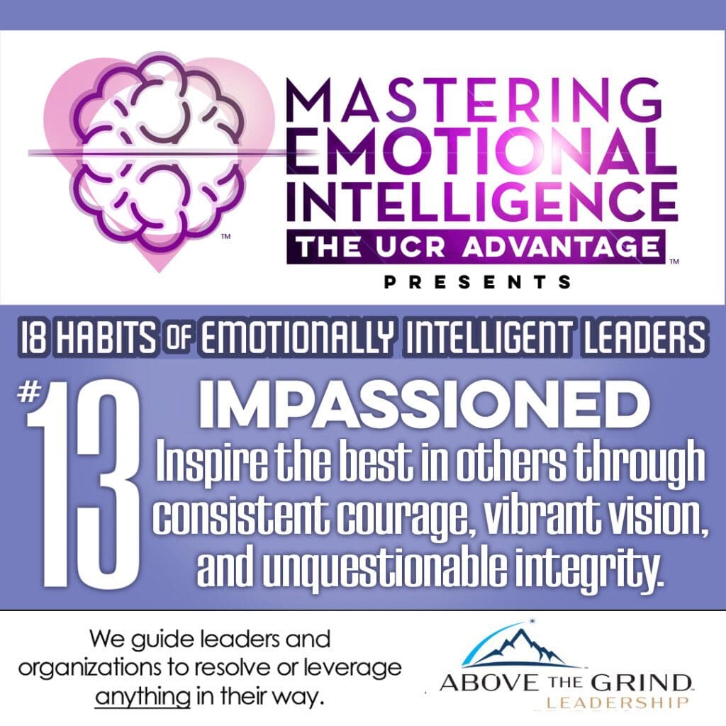 18 Habits of Emotionally Intelligent Leaders - Habit #13 - IMPASSIONED