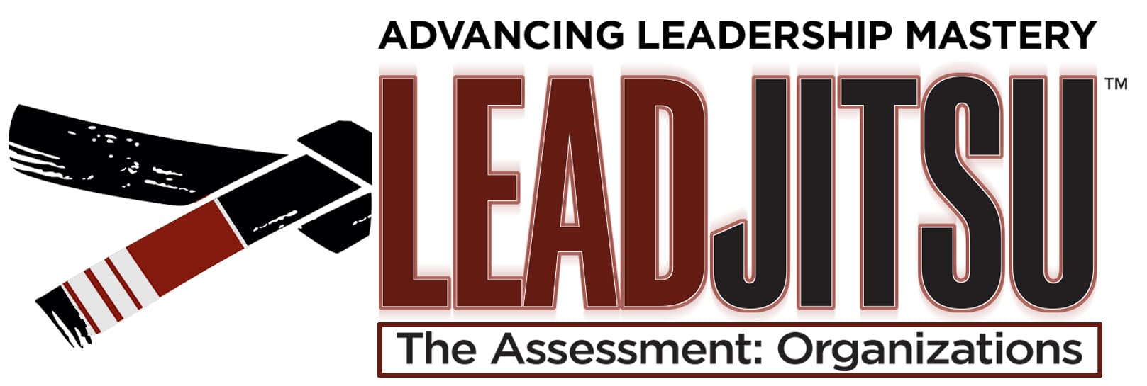 LEADJITSU The Assessment for Organizations