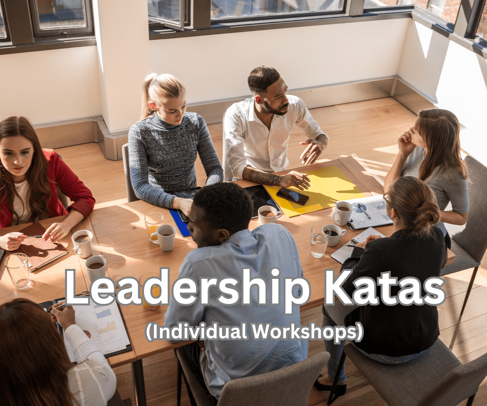 LEADJITSU Leadership Katas (Individual Workshops)