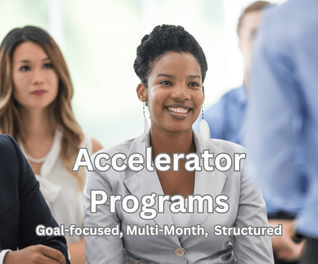 LEADJITSU Accelerator Programs