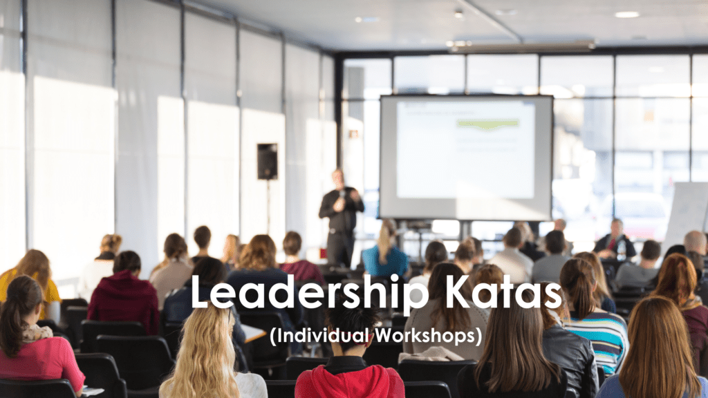 LEADJITSU Leadership Katas